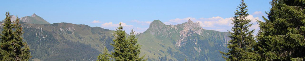 S3